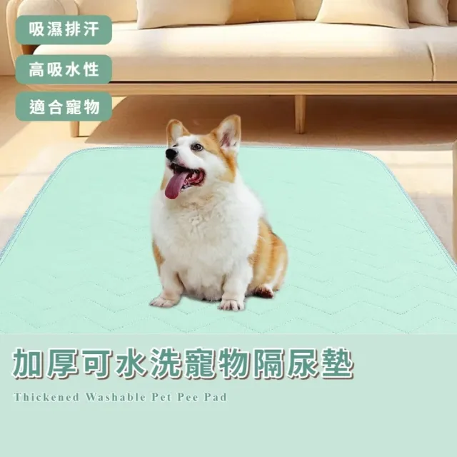 【2026】環保尿布墊推薦ptt》10款高評價人氣品牌排行榜 | BALIMAN情報局