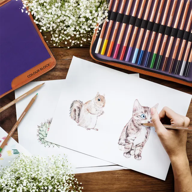 【COLOUR BLOCK】40PCS色鉛筆寫生繪畫組 兒童禮物 春遊寫生(彩色鉛筆 素描鉛筆)