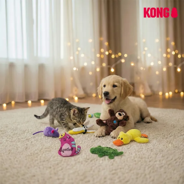 【KONG】貓狗絨毛遊戲啃咬玩具(貓草 塑膠 羽毛 緞帶 棉麻 動物 逗貓棒 禮物)