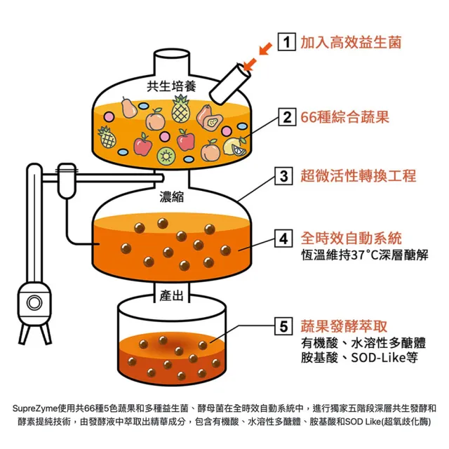【大研生醫】順暢酵素益生菌(30包-n.zimes綜合酵素)