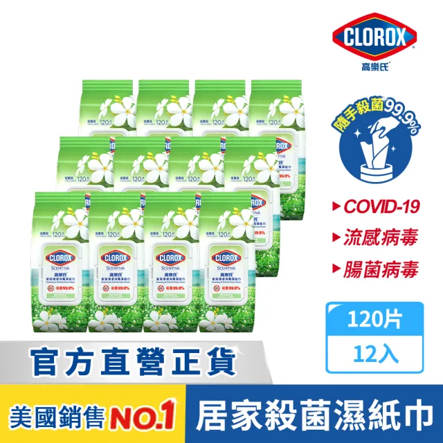 【Clorox 高樂氏】居家清潔殺菌濕紙巾120片x12-茉莉花香(廚房去汙/環境消毒/消滅流感腸菌病毒/無酒精)