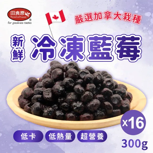 【田食原】(箱購免運)加拿大IQF鮮凍藍莓16入組(500g/包 8kg) 無防腐劑/重金屬/農藥檢驗通過