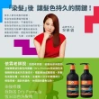 【Dr’s Formula 台塑生醫】升級版-恆采固色洗髮精580g/潤絲乳530gx3入-多款任選(護色.修護.補色.矯色)