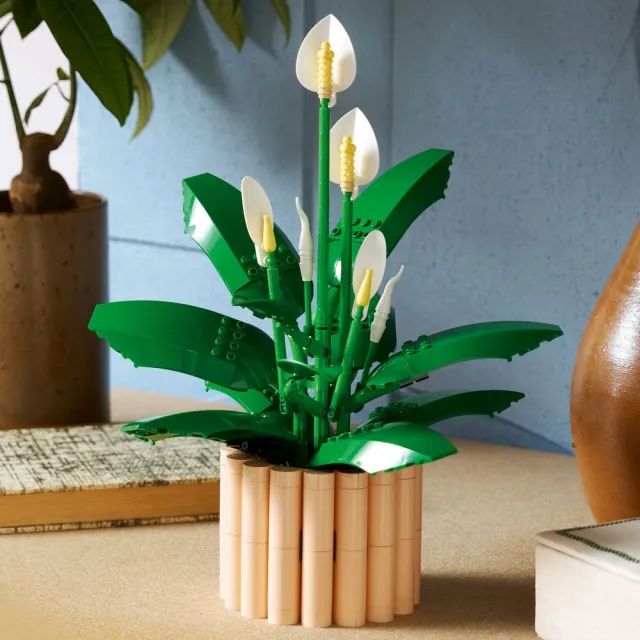 【LEGO 樂高】Botanicals 11504 白鶴芋(花藝 居家擺設 積木 玩具)