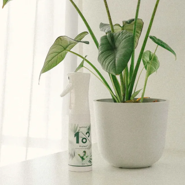 【1%植物關鍵】1%Protect+甲殼素植物驅蟲噴霧300ml*2(植物 抑制蟲卵 剋紅蜘蛛介殼蟲 驅蟲防蟲+養護 居家)