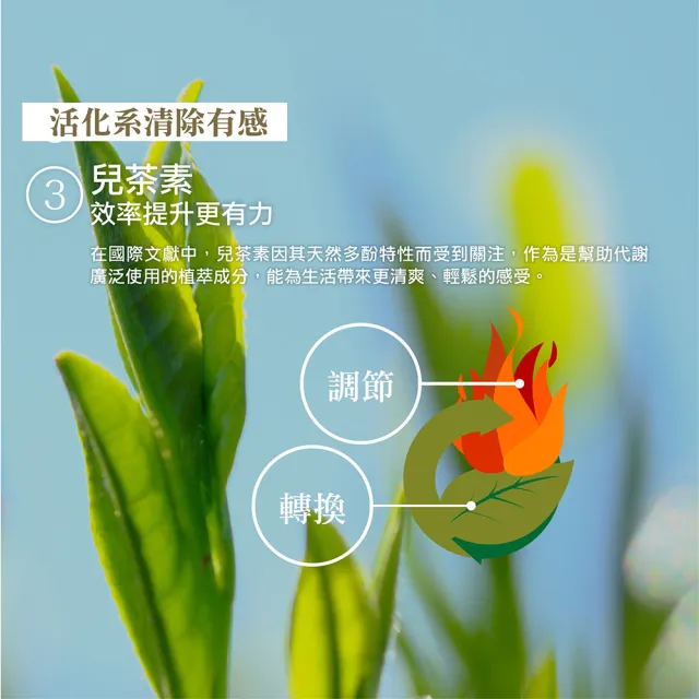 【IKOR】極黑逆 綠咖啡豆錠狀食品x6盒(15袋/盒 綠原酸加強代謝 光甘草定 兒茶素)