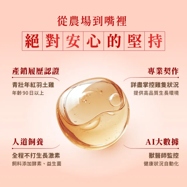 【芳茲】日月養生滴雞精 禮盒 6包/盒 (含天目釉品茗杯) 贈精美提袋_官方直營/常溫