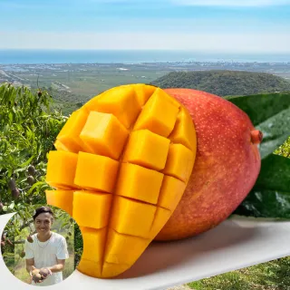 【初品果】枋山阿憲愛文芒果禮盒5斤6-8顆x1盒(大果_屏東青農楊忠憲_山頂上的愛文芒果_禮盒)