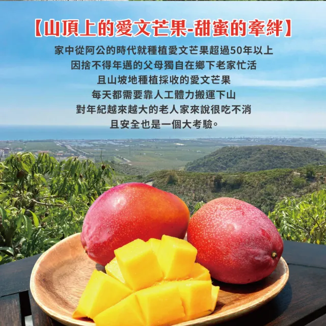 【初品果】枋山阿憲愛文芒果禮盒5斤6-8顆x1盒(大果_屏東青農楊忠憲_山頂上的愛文芒果_禮盒)