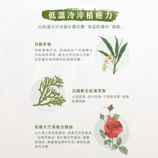 【阿原】玫瑰天竺葵洗手慕斯430mL(植癒力.月桃.修護滋養.柔軟角質.溫暖放鬆)