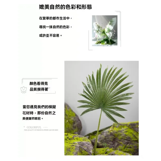 【諾必行】仿真熱帶綠植 假花藤條 仿真植物 裝飾管道 管道遮擋 花藝植物