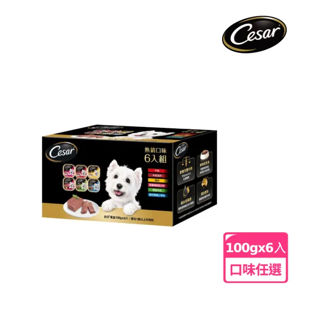 【Cesar 西莎】經典風味餐盒 100g*6入 寵物/狗罐頭/狗食