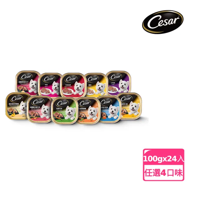 【Cesar 西莎】經典風味餐盒 100g*6入*4口味(任選) 寵物/狗罐頭/狗食