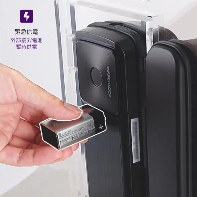 【WAFERLOCK 維夫拉克】D312 雙門 玻璃門電子鎖(指紋+密碼解鎖-玻璃鎖、指紋鎖★含標準安裝)