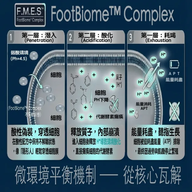 腳氣掰抗菌噴霧5入組(腳氣剋星)