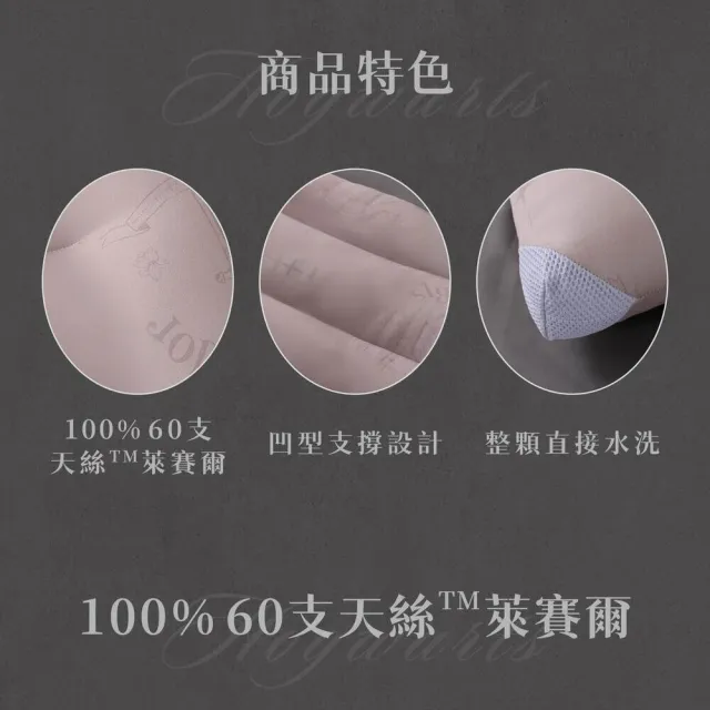 【飛航模飾】哈利波特授權 100%天絲學院聖物可水洗止鼾枕(可水洗 止鼾 萊賽爾 支撐頭頸)