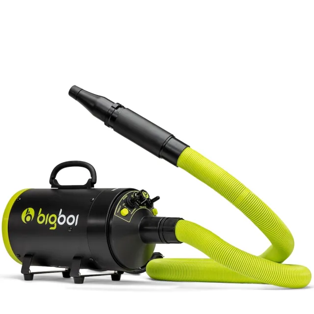【bigboi】澳洲bigboi mini 全新遙控款 保固三年 MINI 寵物冷熱吹風機(原裝進口 貓狗吹水機)