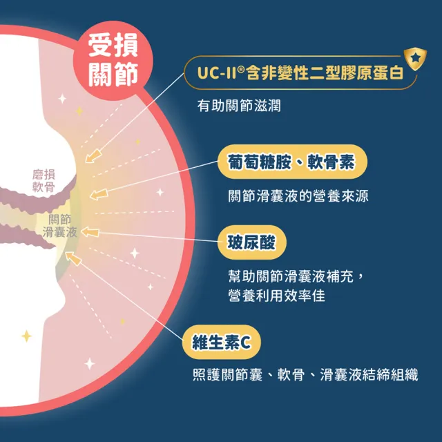 【汪喵星球】汪喵UCII關節保養粉（MSM加強配方）35顆(犬貓保健)