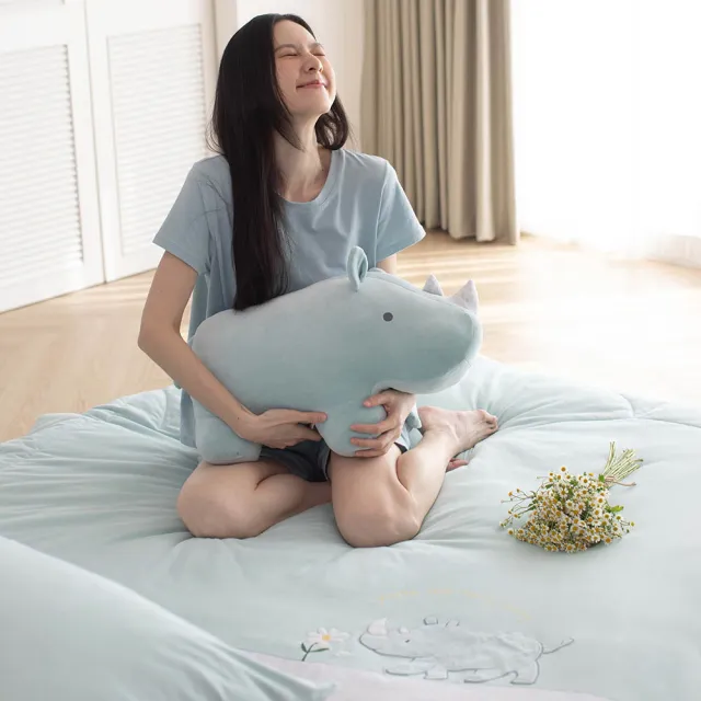 【YVONNE 以旺傢飾】100%美國棉 四季被-小雛菊犀牛 湖水綠(4x5呎 純棉 棉被 水洗 防蹣 台灣製)