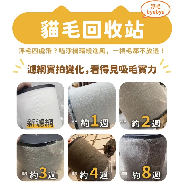 【Honeywell】(一年份濾網組)貓咪UVC殺菌抗敏空氣清淨機 HPA360WTW(適用8-17坪｜喵淨機)