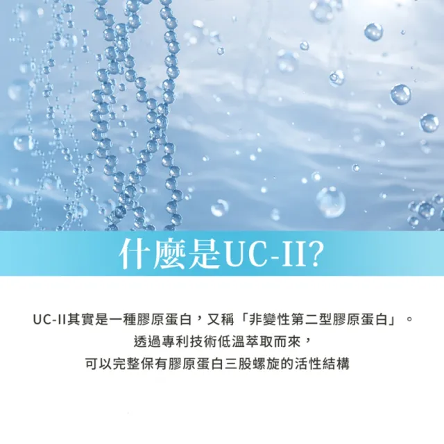 【Sanct Bernhard 聖伯納德】德國百年草本 UC-II 非變性第二型膠原蛋白X2入(60顆/罐 維他命C 靈活行動力)