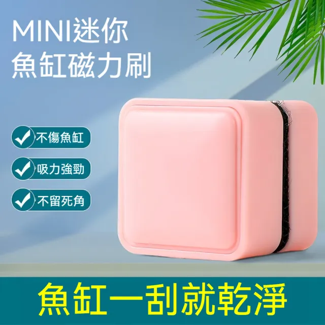 雙面清潔強力磁吸魚缸清潔刷 迷你方塊雙材質刷毛魚缸磁力刷-1入