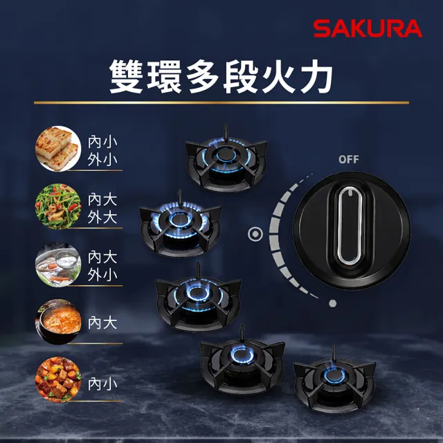 【SAKURA 櫻花】二口大面板易清檯面爐G2627G(火速安裝-官方直營)