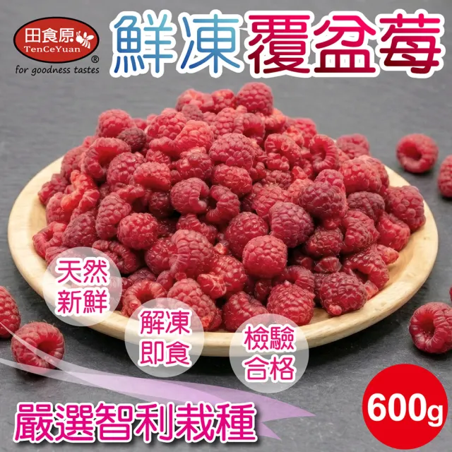 | BALIMAN情報局 【2026】莓果推薦ptt》10款高評價人氣品牌排行榜 | BALIMAN情報局