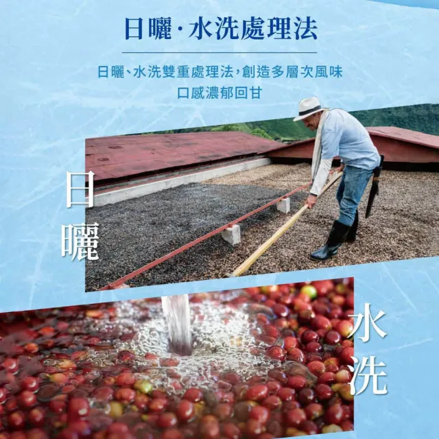 【NESCAFE 雀巢咖啡】金牌冰萃濾袋研磨咖啡五盒組