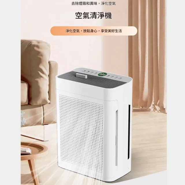 【IPSKY】空氣清淨機 空氣淨化器（強力吸浮毛 除甲醛除異味 PM2.5淨化 雙面淨風設計 空氣除臭機）