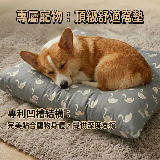 【2026】寵物沙發床推薦ptt》10款高評價人氣品牌排行榜 | BALIMAN情報局