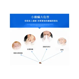 【ROYAL LIFE 皇室生活】強效吸塵蟎吸跳蚤貼-每袋3包(消除塵蟎/塵蟎片/除蟎片/誘補貼/除蟎貼片)