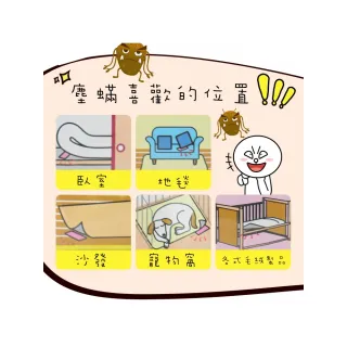 【ROYAL LIFE 皇室生活】強效吸塵蟎吸跳蚤貼-每袋3包(消除塵蟎/塵蟎片/除蟎片/誘補貼/除蟎貼片)
