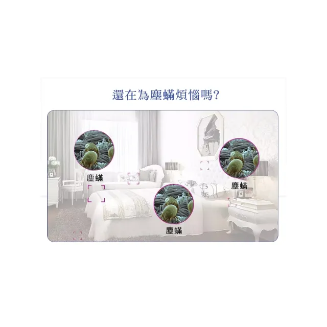 【ROYAL LIFE 皇室生活】強效吸塵蟎吸跳蚤貼-每袋3包 2入組(消除塵蟎/塵蟎片/除蟎片/誘補貼/除蟎貼片)