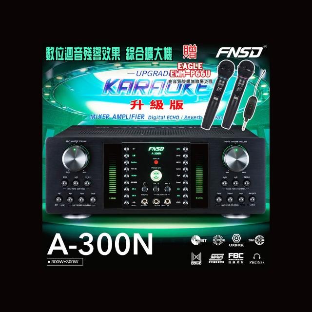 FNSD A-300N 升級版 數位迴音殘響效果 綜合擴大機(300W+300W)大功率大電流 卡拉OK擴大機