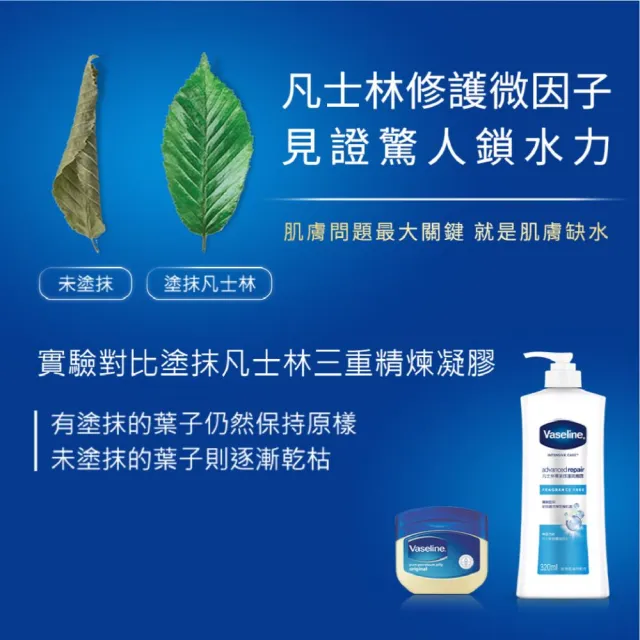 【Vaseline 凡士林】官方直營 經典系列潤膚露320mlx2入(多款任選)