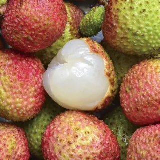 【黑貓嚴選】高雄大樹小馬果園 玉荷包禮盒1盒(1.8kg/盒)