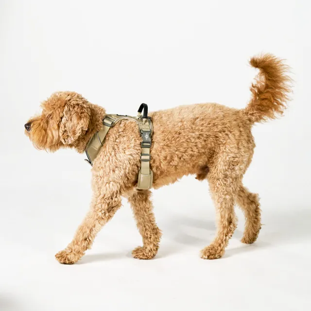 【DOG Copenhagen】丹麥犬胸背帶Pro款-XS(狗狗專用 頂級旗艦 舒適好操控)