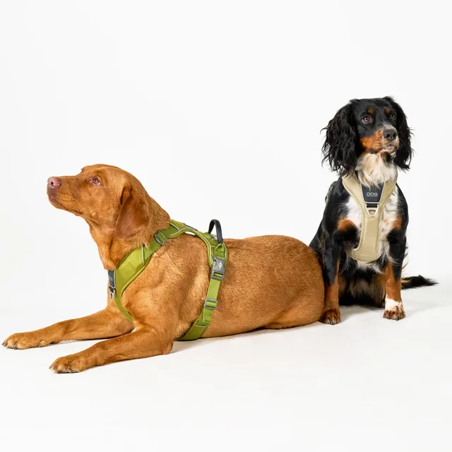 【DOG Copenhagen】丹麥犬胸背帶Pro款-XL(狗狗專用 頂級旗艦 舒適好操控)