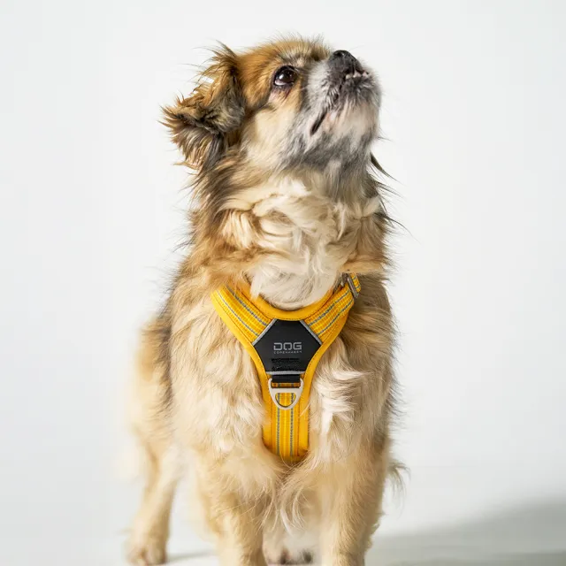 【DOG Copenhagen】丹麥犬胸背帶Air款-S(狗狗專用 透氣輕盈 不套頭設計)