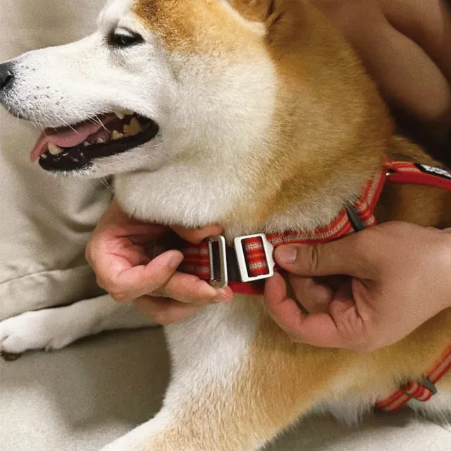 【DOG Copenhagen】丹麥犬胸背帶Air款-S(狗狗專用 透氣輕盈 不套頭設計)