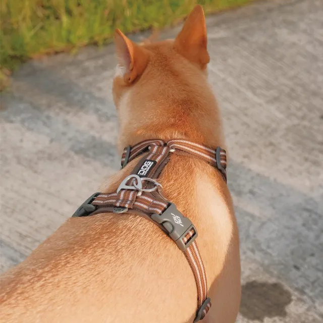 【DOG Copenhagen】丹麥犬胸背帶Air款-S(狗狗專用 透氣輕盈 不套頭設計)