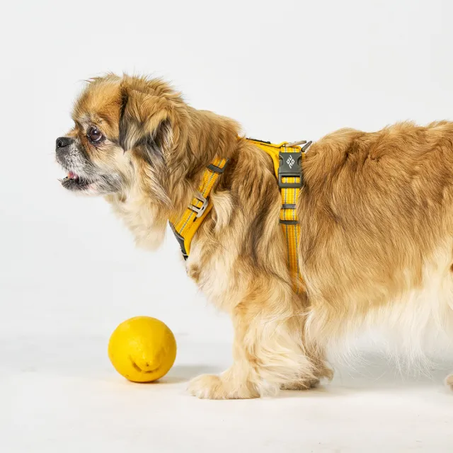 【DOG Copenhagen】丹麥犬胸背帶Air款-XL(狗狗專用 透氣輕盈 不套頭設計)