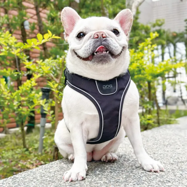 【DOG Copenhagen】丹麥犬胸背帶Go款-XXS(狗狗快穿背帶 中小型犬適用)