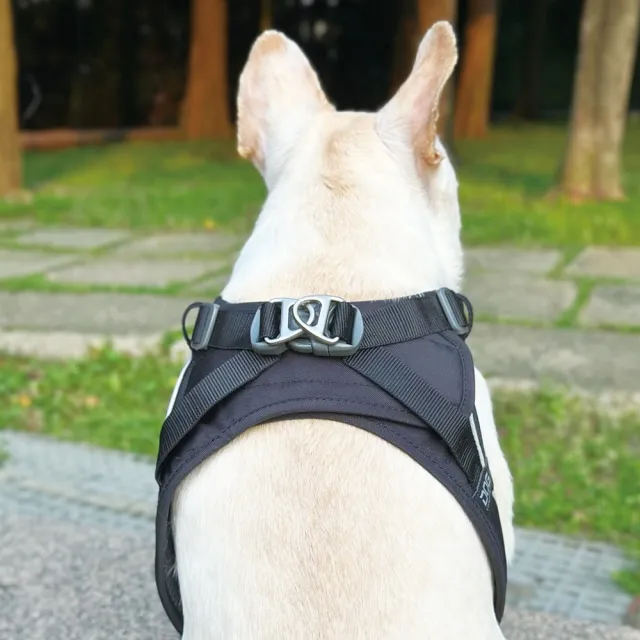 【DOG Copenhagen】丹麥犬胸背帶Go款-XXS(狗狗快穿背帶 中小型犬適用)