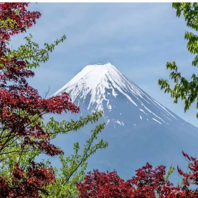 09-10月出發東京五日自由行★酷航+瑞江第一(含行李/兩人一室-單人券)