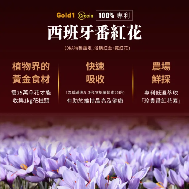 【宏碁健康】GOLDEN-i 頂級番紅花魚油複方膠囊12瓶(送Acer Fashion墨爾本四輪對開胖胖行李箱)