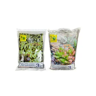 【蔬菜工坊】翠筠靚土多肉植物用3公升