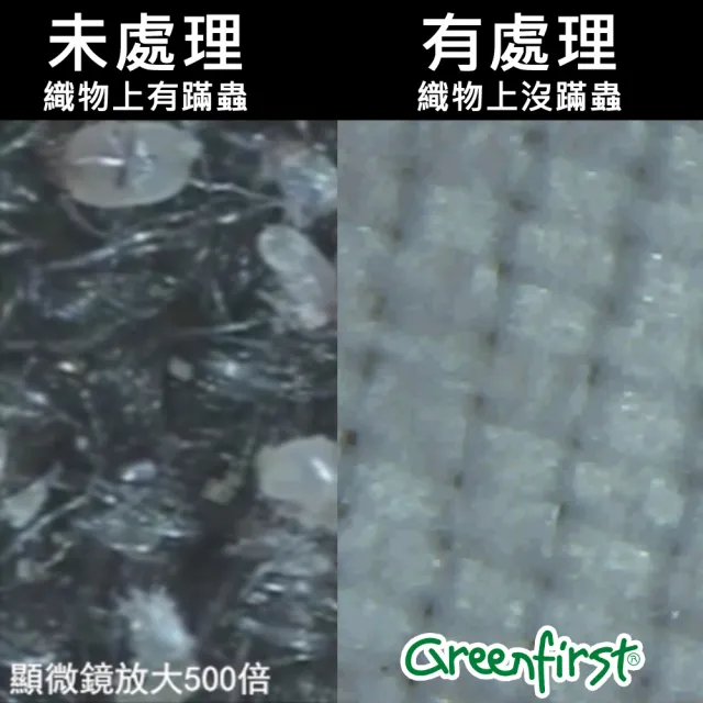 【LooCa】旗艦款10cm防蚊+防蹣+記憶床墊(單大3.5尺★限量出清)