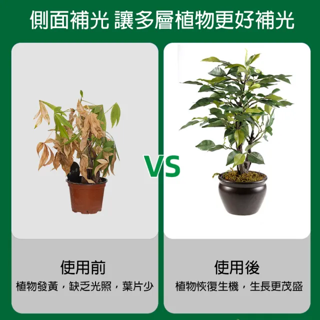 【LADUTA 拉布塔】植物補光燈 全光譜 42W 調光調色 定時 三米線長 高透光 PC 防徒長